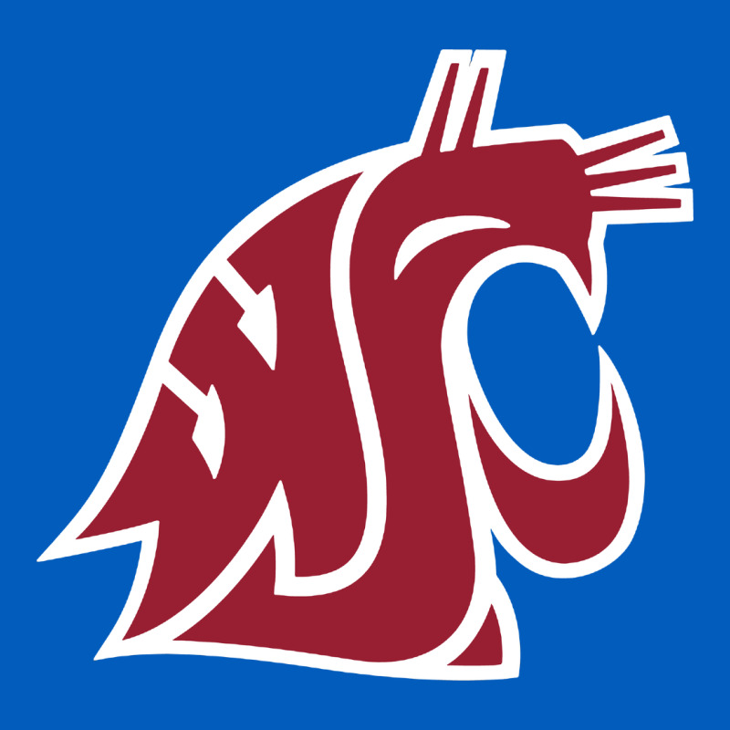 Washington State Cougars Urban Hoodie by PixelFlow | Teevron