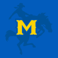 Mcneese  Athletics Urban Hoodie | Teevron