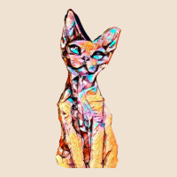 Colorful Cat Urban Hoodie | Teevron