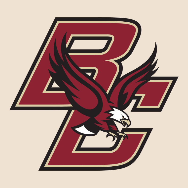 Boston College Eagl3s Urban Hoodie by SnappyArt | Teevron
