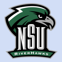 Northeastern State Riverhawks Urban Hoodie | Teevron