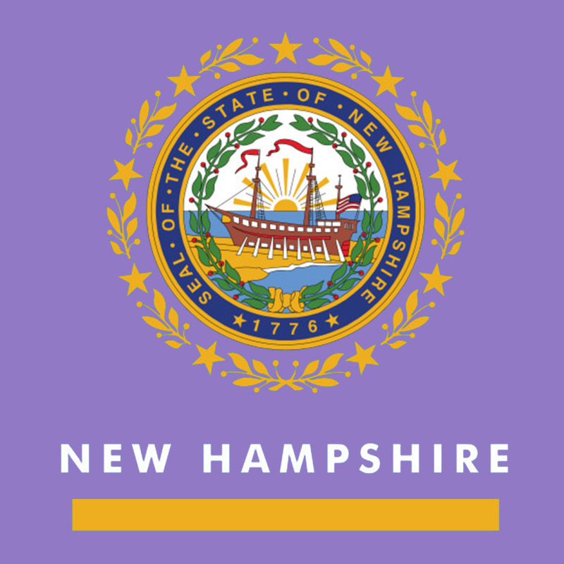 New Hampshire State Flag New Urban Hoodie by SnappyArt | Teevron