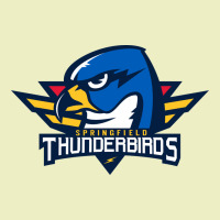 Springfield Thunderbirds Urban Hoodie | Teevron