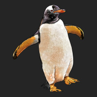 Penguin Premium Hoodie | Teevron