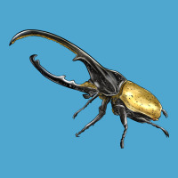 Hercules Beetle Side Premium Hoodie | Teevron