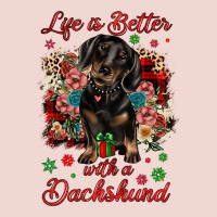 Christmas Life Is Better With A Dachshund Premium Sweatshirt | Teevron
