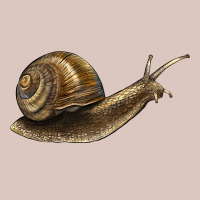 Snail Premium Hoodie | Teevron