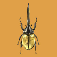 Hercules Beetle Premium Hoodie | Teevron