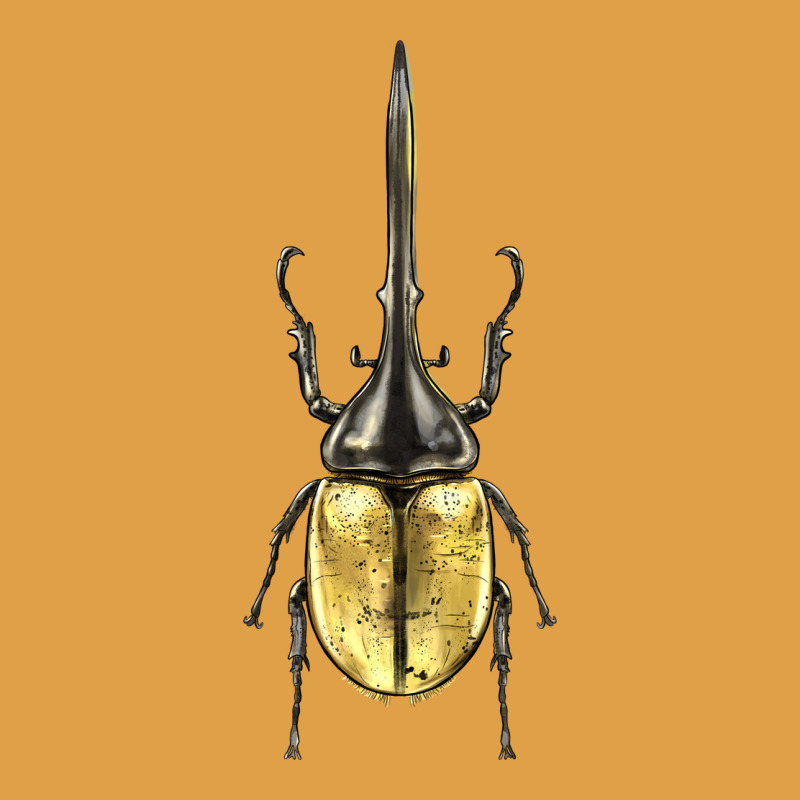 Hercules Beetle Premium Hoodie by LillyAllenDesigns | Teevron