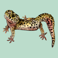 Gecko Lizard Illustrations Premium Hoodie | Teevron
