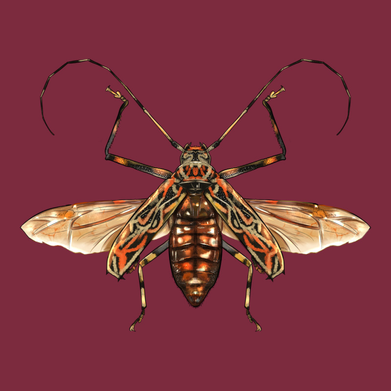 Acrocinus Beetle With Wings Premium Hoodie by LillyAllenDesigns | Teevron