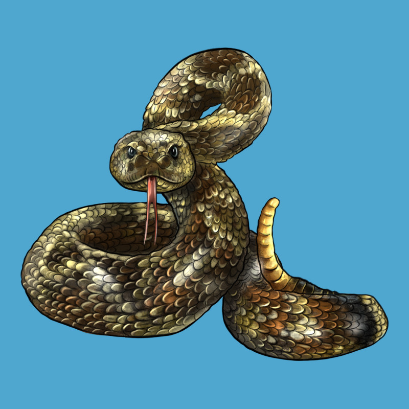 Rattlesnake Premium Hoodie by LillyAllenDesigns | Teevron