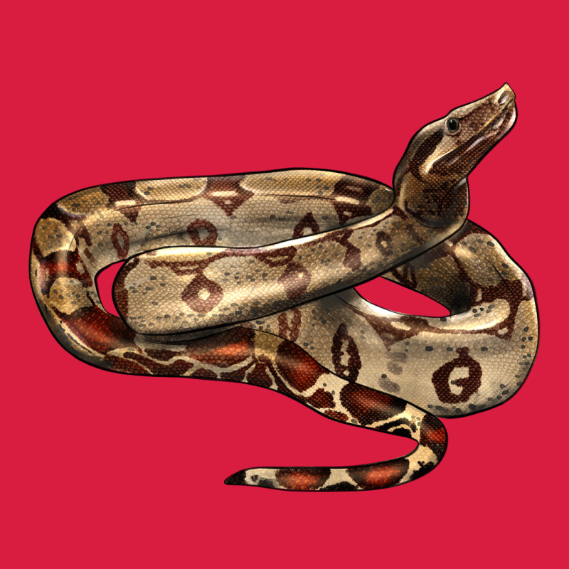 Red Tail Boa Snake Premium Hoodie by LillyAllenDesigns | Teevron