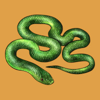 Boomslang Snake Premium Hoodie | Teevron