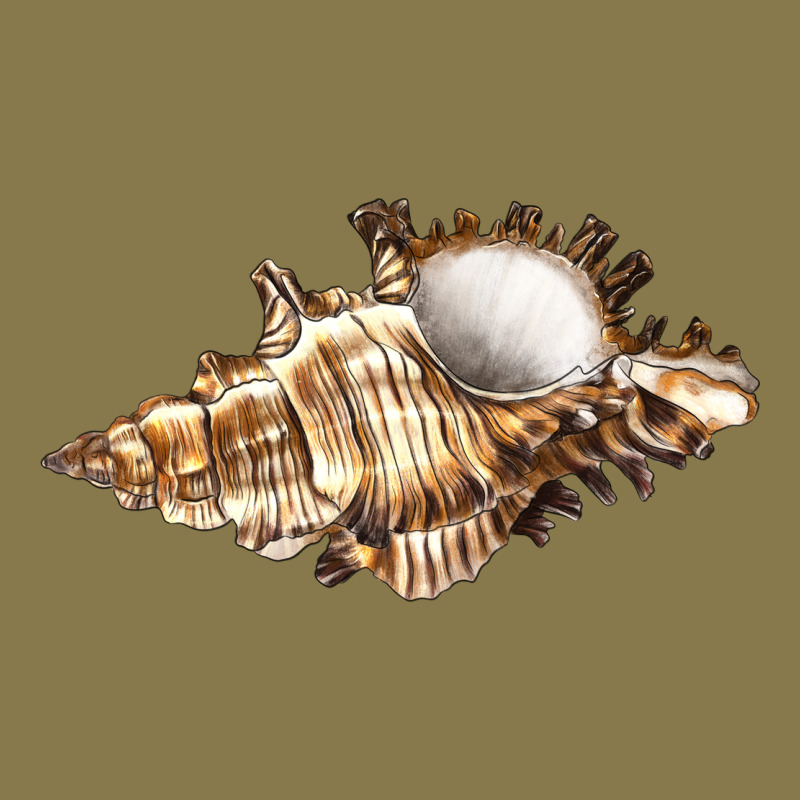 Murex Snail Premium Hoodie by LillyAllenDesigns | Teevron