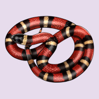 Milk Snake Premium Hoodie | Teevron