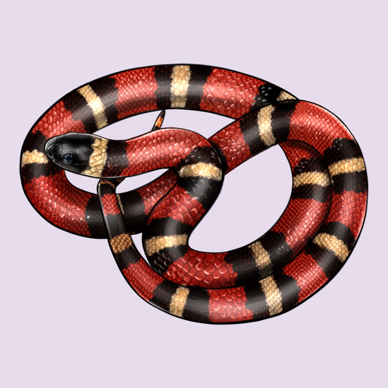 Milk Snake Premium Hoodie by LillyAllenDesigns | Teevron