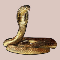King Cobra Snake Premium Hoodie | Teevron
