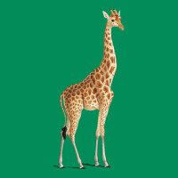 Giraffe Urban Hoodie | Teevron