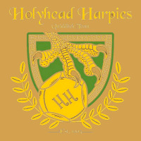Holyhead Harpies Urban Hoodie | Teevron