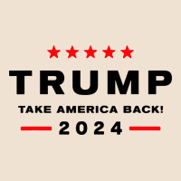 Donald Trump 2024 Take America Urban Hoodie | Teevron