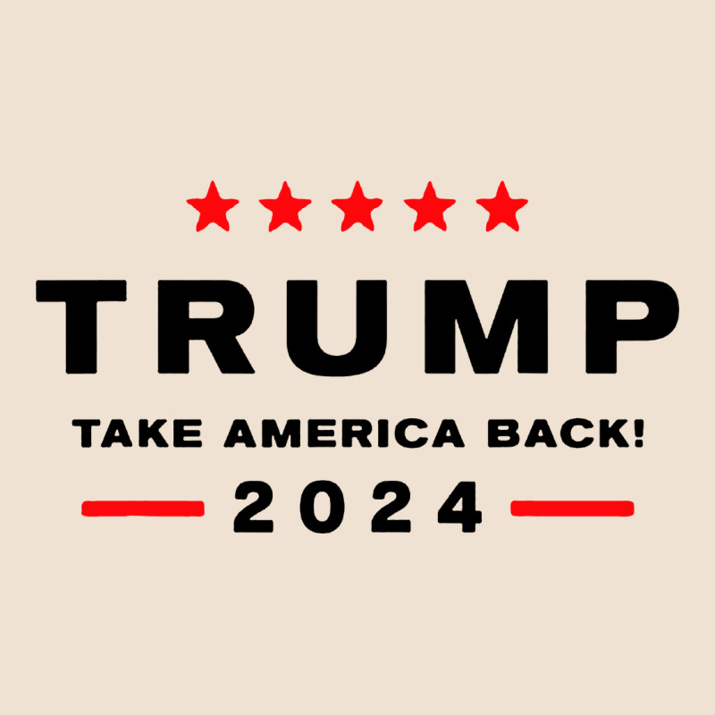 Donald Trump 2024 Take America Urban Hoodie by artisFamous | Teevron