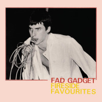 Fad Gadget Fireside Favourites Urban Hoodie | Teevron