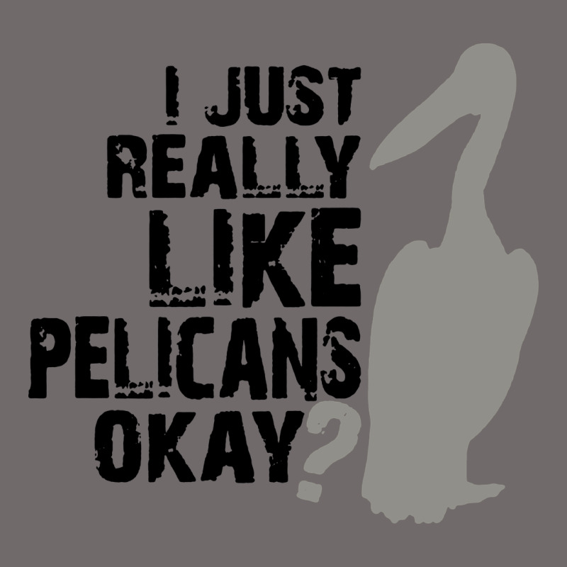 I Just Really Like Pelicans Okay Urban Hoodie by artisFamous | Teevron