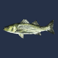 Striped Bass Premium Hoodie | Teevron