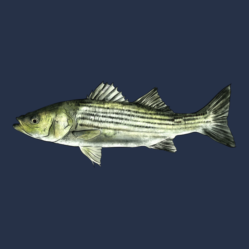 Striped Bass Premium Hoodie by LillyAllenDesigns | Teevron