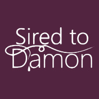 Sired To Damon Urban Hoodie | Teevron