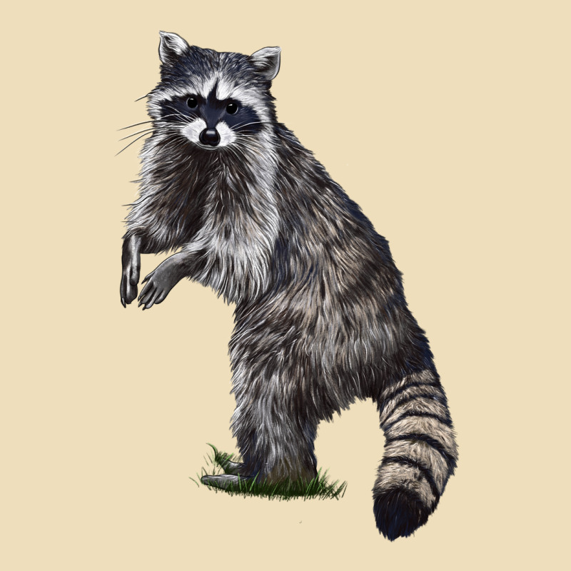 Raccoon Illustrations Premium Hoodie by LillyAllenDesigns | Teevron