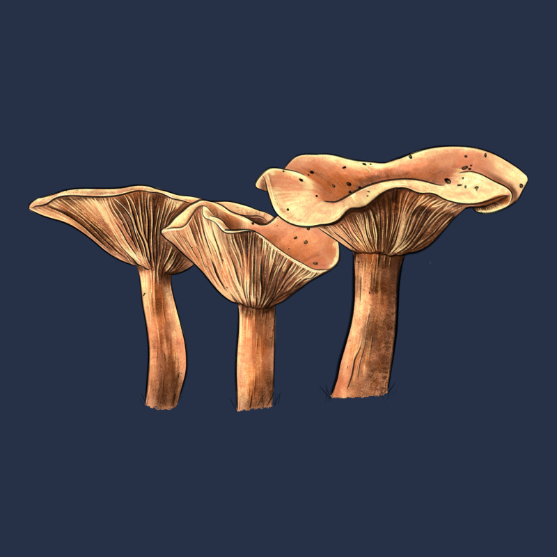 Lactarius Rufus Mushroom Premium Hoodie by LillyAllenDesigns | Teevron