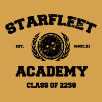 Starfleet Academy Urban Hoodie | Teevron