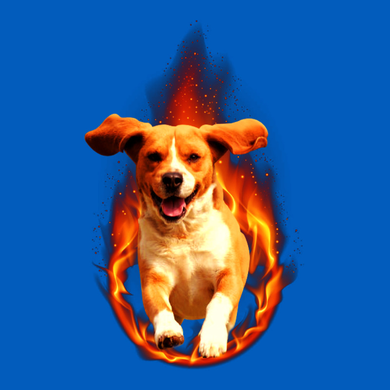 Dog In Fire Urban Hoodie by artisFamous | Teevron