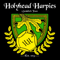 Holyhead Harpies Urban Hoodie | Teevron