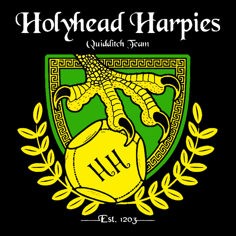 Holyhead Harpies Urban Hoodie by artisFamous | Teevron