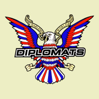 Diplomats Music Urban Hoodie | Teevron