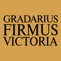 Gradarius Firmus Victoria Urban Hoodie | Teevron