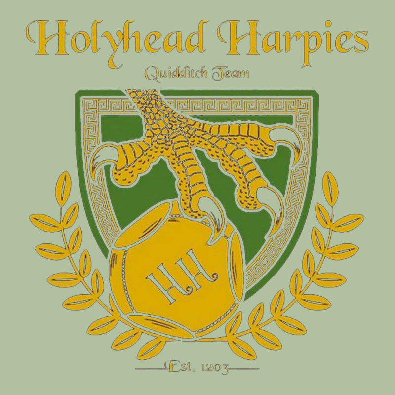 Holyhead Harpies Urban Hoodie by artisFamous | Teevron