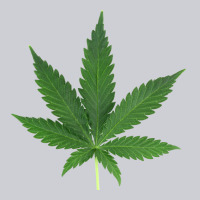 Weed Leaf Urban Hoodie | Teevron