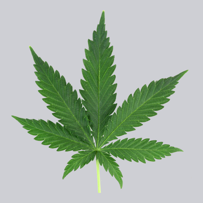 Weed Leaf Urban Hoodie by artisFamous | Teevron