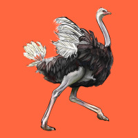 Ostrich Premium Hoodie | Teevron