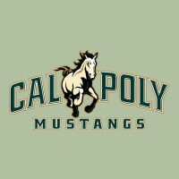 Cal Poly Mustangs Urban Hoodie | Teevron