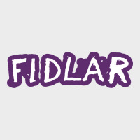 Fidlar Urban Hoodie | Teevron