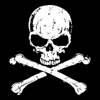Pirates Adults Pirates Skull Crossbones Beard Urban Hoodie | Teevron