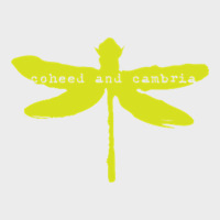 Coheed And Cambria Urban Hoodie | Teevron