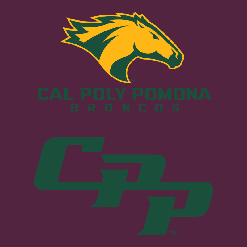 Cal Pol Pomona Urban Hoodie by artisFamous | Teevron