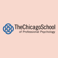 The Chicago School Of Professional Psychology Urban Hoodie | Teevron