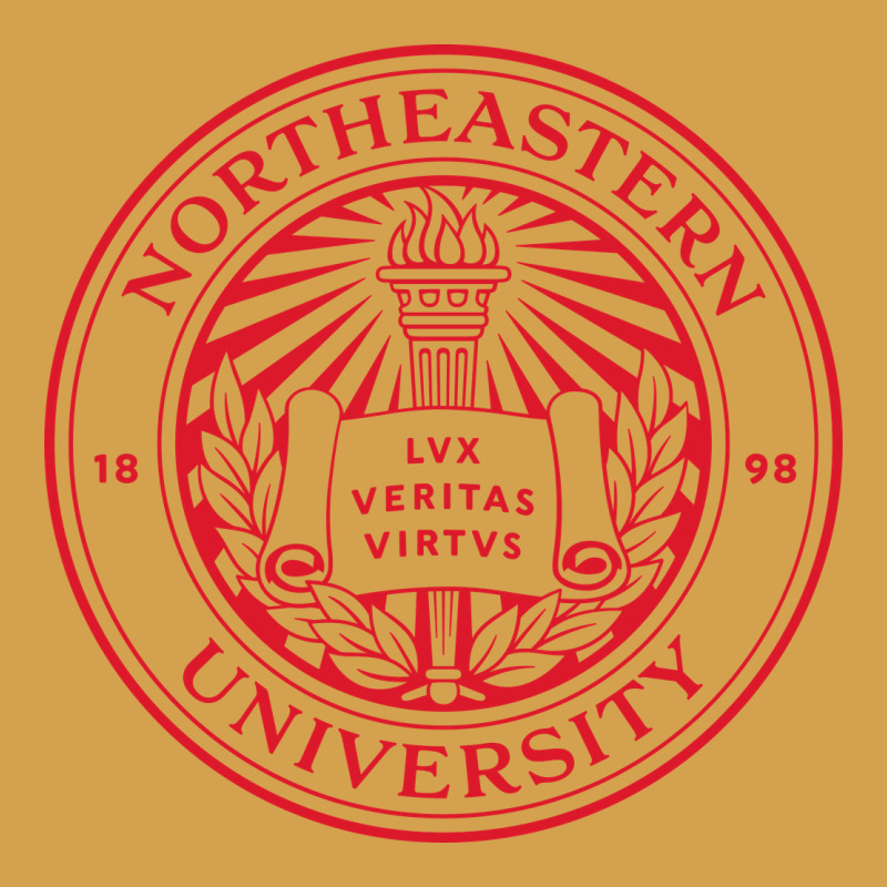 Northeastern University Urban Hoodie by artisFamous | Teevron